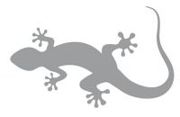 Aufkleber Sticker Lizard Eidechse grau