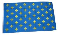 Fahne / Flagge Frankreich Lilienbanner blau 90 x 150 cm