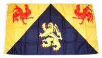 Fahne / Flagge Belgien - Wallonisch Brabant 90 x 150 cm