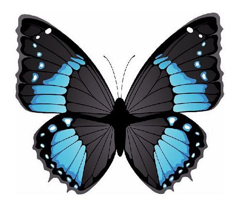 Aufkleber Sticker Schmetterling blau