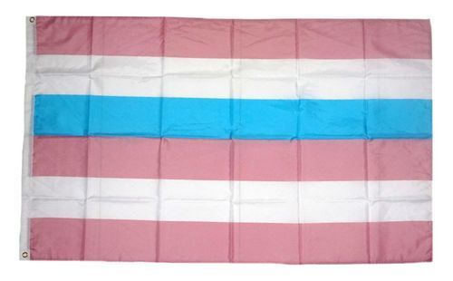 Fahne / Flagge Intersex blau / pink 90 x 150 cm