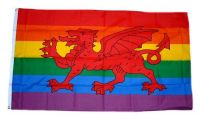 Fahne / Flagge Wales Regenbogen 90 x 150 cm