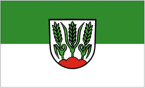 Flagge / Fahne Bondorf Hissflagge 90 x 150 cm