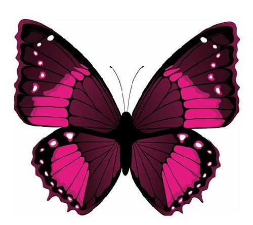 Aufkleber Sticker Schmetterling purpur