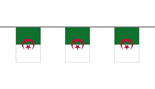 Flaggenkette Algerien 6 m