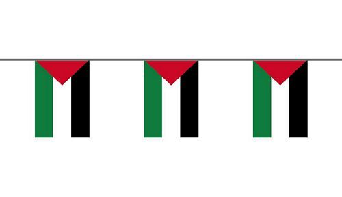 Flaggenkette Palästina 6 m