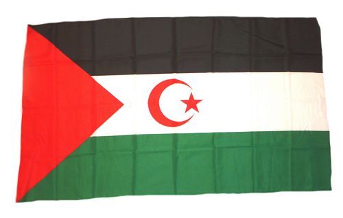 Fahne / Flagge West Sahara 30 x 45 cm