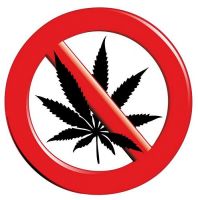 Aufkleber Sticker STOP Cannabis Hanf
