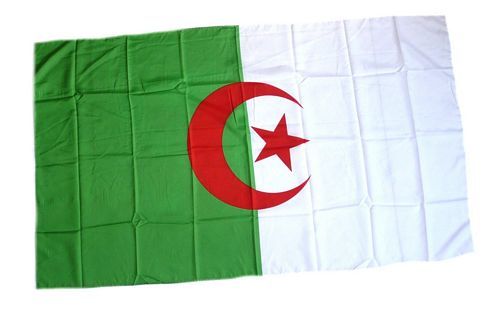 Fahne / Flagge Algerien 30 x 45 cm