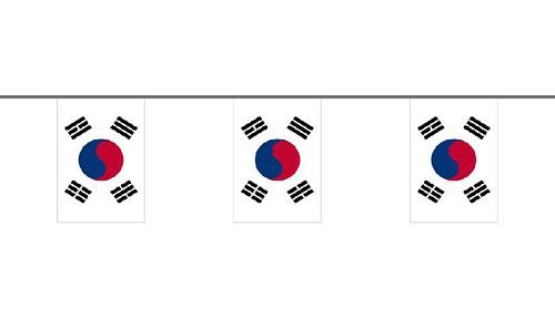Flaggenkette Südkorea 6 m
