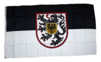Flagge / Fahne Landau Hissflagge 90 x 150 cm