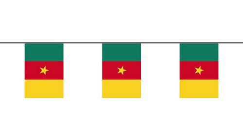 Flaggenkette Kamerun 6 m