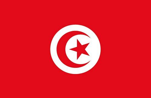 Fahnen Aufkleber Sticker Tunesien