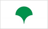 Fahne / Flagge Japan - Metropolregion Tokio 90 x 150 cm