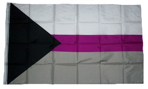 Fahne / Flagge Demisexuell 90 x 150 cm