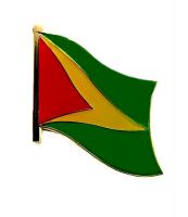 Fahnen Anstecker Pin Guyana