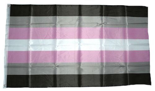 Fahne / Flagge Demigirl Pride 90 x 150 cm