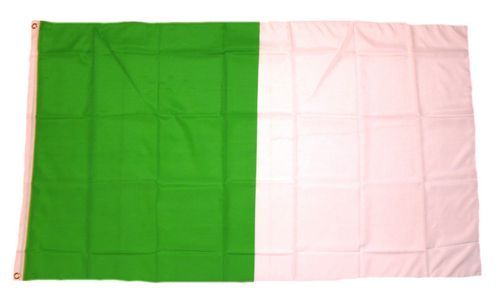 90 x 150 cm Fahne Flagge Irland Sunburst 