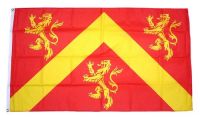 Fahne / Flagge Wales - Anglesey 90 x 150 cm