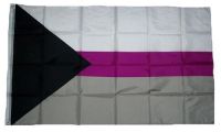 Fahne / Flagge Demisexuell 90 x 150 cm