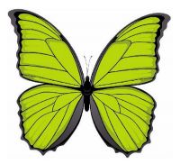 Aufkleber Sticker Schmetterling hellgrün