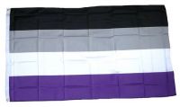 Fahne / Flagge Asexuell 90 x 150 cm