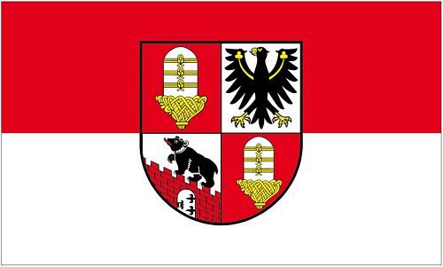 Fahne / Flagge Salzlandkreis 90 x 150 cm