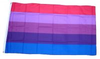 Fahne / Flagge Transgender 90 x 150 cm