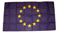 Fahne / Flagge Europa 30 x 45 cm