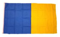 Fahne / Flagge Irland - Wicklow 90 x 150 cm