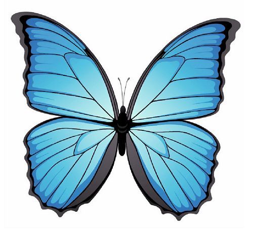 Aufkleber Sticker Schmetterling hellblau